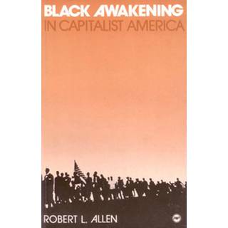Black Awakening in Capitalist America: An Analytical History