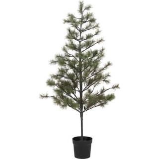 Juletræ Peuce med LED-lys