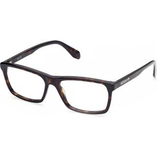 Adidas Originals OR5021 052 56 Briller Mænd Tortoiseshell - Dark Tortoise - 56mm