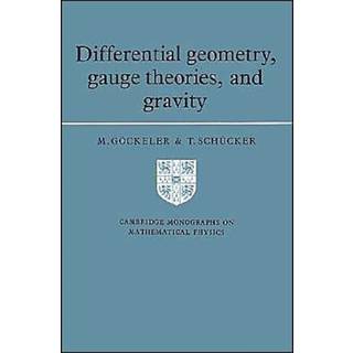 Differential Geometry, Gauge Theories, and Gravity