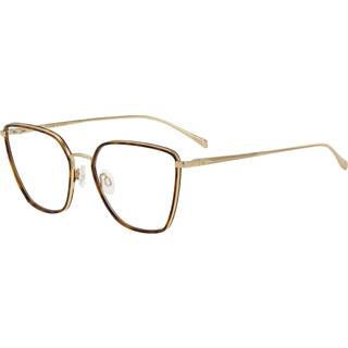 Rag & Bone RNB3028 06J 55 Briller Kvinder Guld - Gold Havana - 55mm