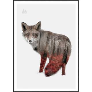 Plakat - Fox Plakat - Str:50 x 70 Cm - Incado
