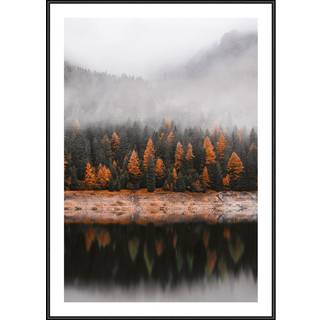 Plakat - Autumn Fog Plakat - Str:50 x 70 Cm - Incado