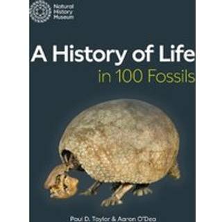 A History of Life in 100 Fossils