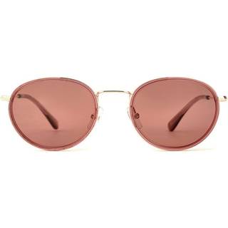 Etnia Barcelona Dumbo Sun BXGD 50 Solbriller Mænd Guld - Transparent Bordeaux Gold - 50mm