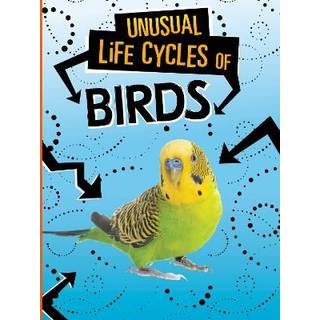 Unusual Life Cycles of Birds