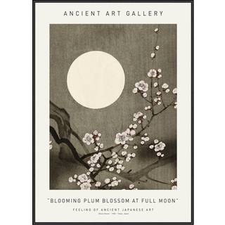 Plakat - Blooming Plum Blossom At Full Moon - Ancient Art Plakat - Str:70 x 100 Cm - Incado