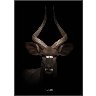 Plakat - Majestic Antelope Plakat - Str:50 x 70 Cm - Incado