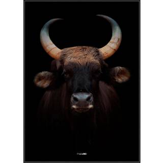 Plakat - Great Buffalo Plakat - Str:50 x 70 Cm - Incado