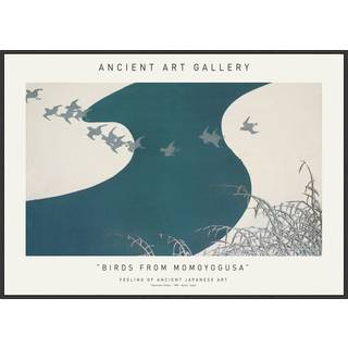 Plakat - Birds From Momoyogusa - Ancient Art Plakat - Str:70 x 100 Cm - Incado