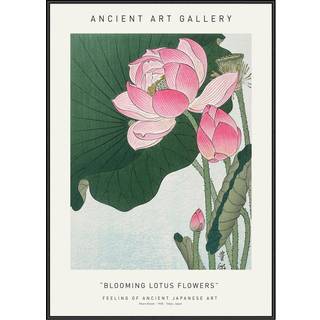 Plakat - Blooming Lotus Flowers - Ancient Art Plakat - Str:70 x 100 Cm - Incado