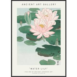 Plakat - Water Lily - Ancient Art Plakat - Str:50 x 70 Cm - Incado