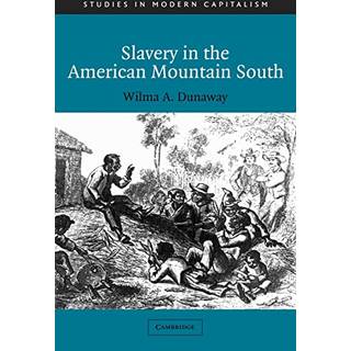 Slavery in the American Mountain South
