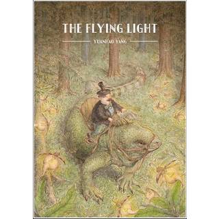 The Flying Light