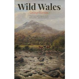 Wild Wales