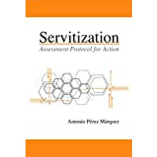 Servitization