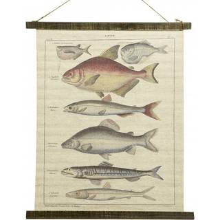 Schulwandkarte Wandbild Fische Lachse Biologie Nostalgie Leinwand 72x60cm