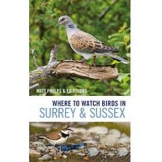Where to Watch Birds in Surrey and Sussex