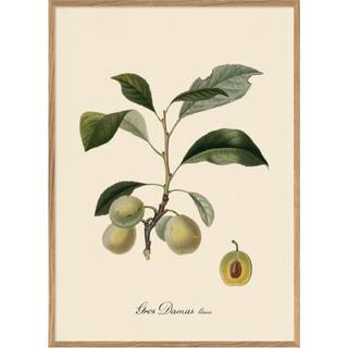 The Dybdahl Co. Gros Damas Iconic Fruits Plakat - 70 x 100 cm.