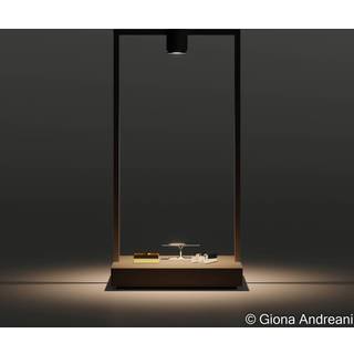 Curiosity 45 - Focus - Bordlampe - Artemide