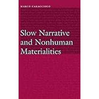 Slow Narrative and Nonhuman Materialities