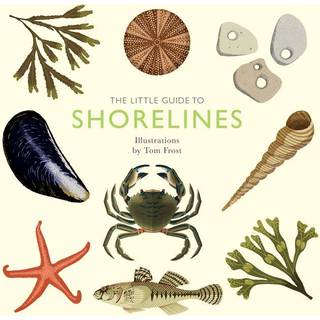 The Little Guide to Shorelines