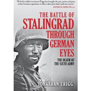 The Battle of Stalingrad Through German Eyes
