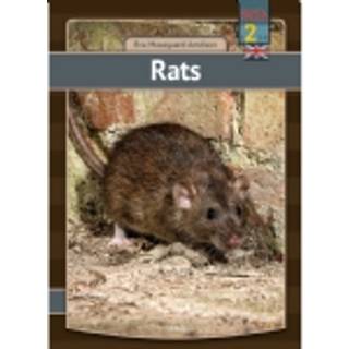 Rats