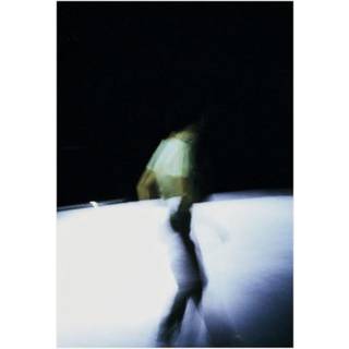 Shelley Lasica: WHEN I AM NOT THERE