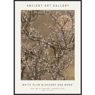 Plakat - White Plum Blossoms And Moon - Ancient Art Plakat - Str:50 x 70 Cm - Incado