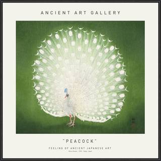 Plakat - Peacock Plakat - Str:50 x 50 Cm - Incado