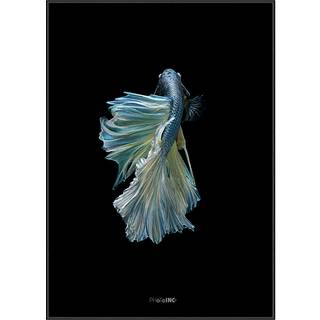 Plakat - Blue King Fish Ii Plakat - Str:50 x 70 Cm - Incado