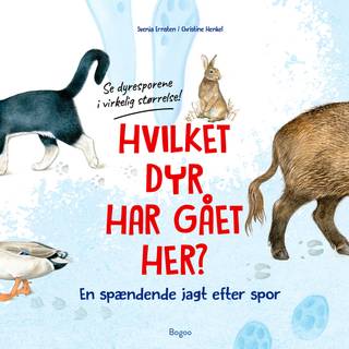 Hvilket dyr har gået her? Se dyresporene i virkelig størrelse!