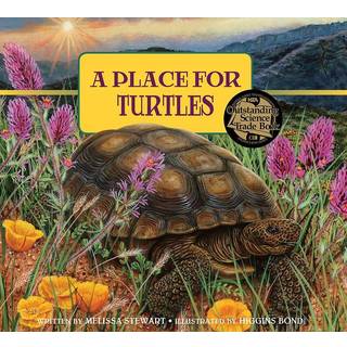 A Place for Turtles