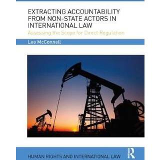 Extracting Accountability from Non-State Actors in International Law