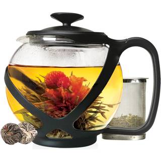 Primula Black Tempo Glass Teapot med 2 blomstrende te 40 oz 40 ounces