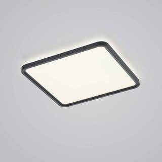 Helestra Vesp LED-panel backlight 61x61cm sort