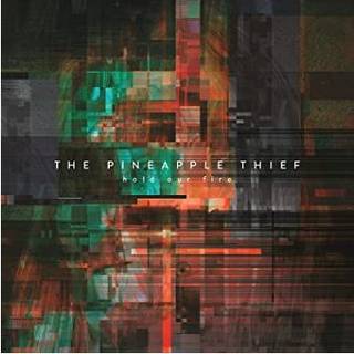The Pineapple Thief - Hold Our Fire
