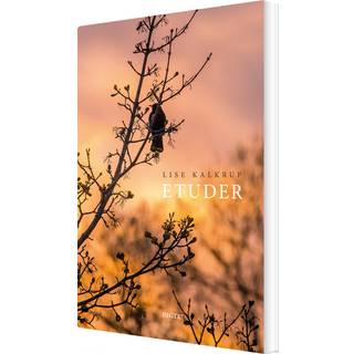 Etuder