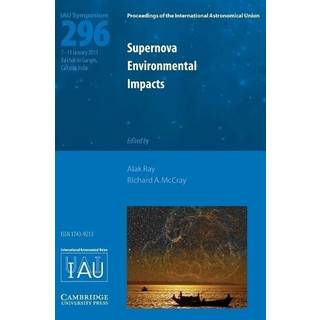 Supernova Environmental Impacts (IAU S296)