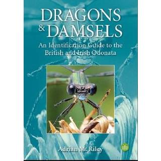 Dragons and Damsels