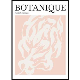 Plakat - Botanique Plakat - Str:50 x 70 Cm - Incado
