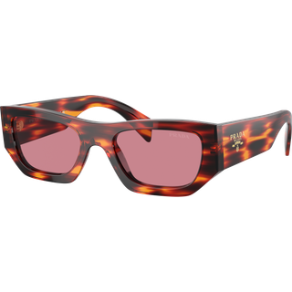 Prada PR A01S 13O80B 53 Solbriller Mænd Tortoiseshell - Tortoise - 53mm
