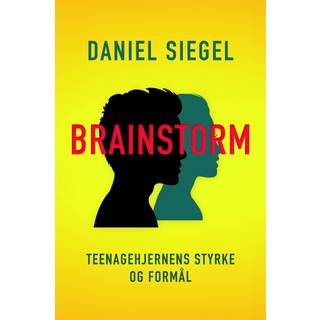 Brainstorm