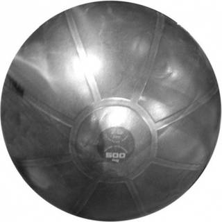 Toorx Antiburst Træningsbold Ø75 cm