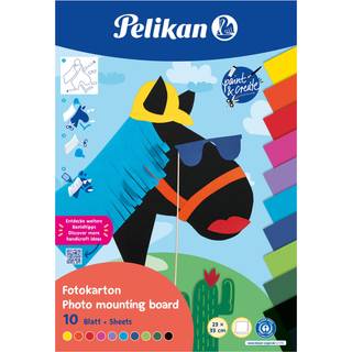 Pelikan: Fotokarton - 23 x 33 cm, 10 ark, 270 g