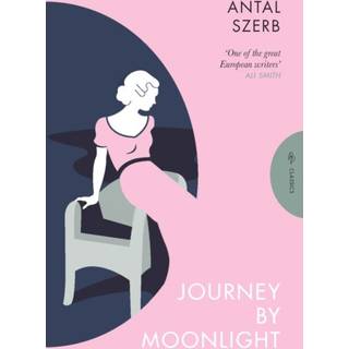 Journey by Moonlight