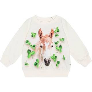 Molo GOTS Disc Sweatshirt Clover Foal 80 cm  Creme  80 cm  kvinde