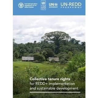 Collective tenure rights for REDD+ implementation and sustainable development