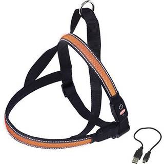 NORWEGIAN Sele FLASH MESH - S - Orange